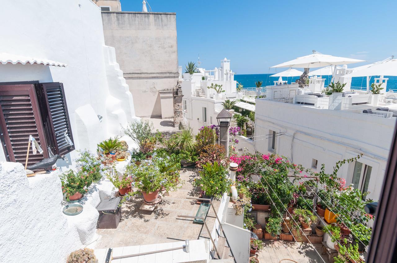شقة Helloapulia - Sea View Terrace Conchiglia مونوبولي المظهر الخارجي الصورة